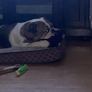 Meet your Posher, Connie